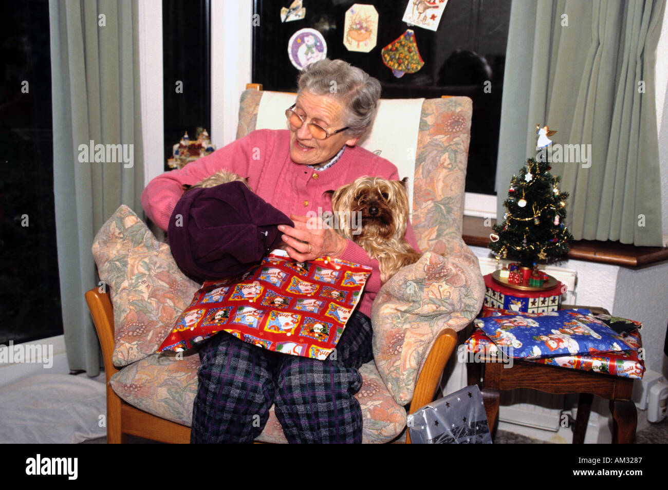 Frau zu Hause zu Weihnachten mit ihrem Haustier Yorkshire-Terrier Stockfoto