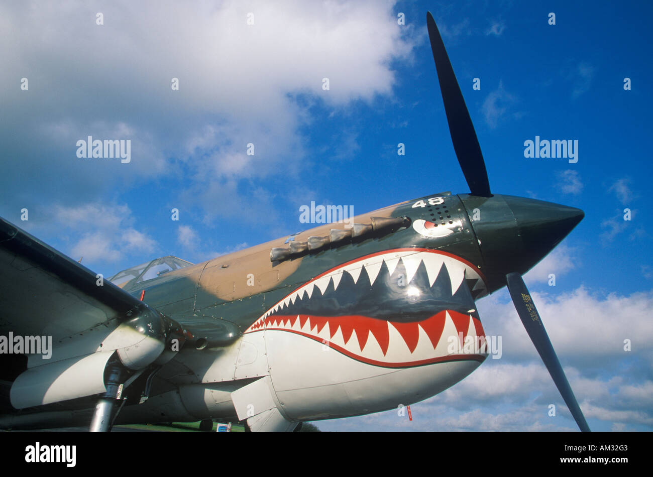 Shark painted  Fotos und  Bildmaterial in hoher Auflösung – Alamy