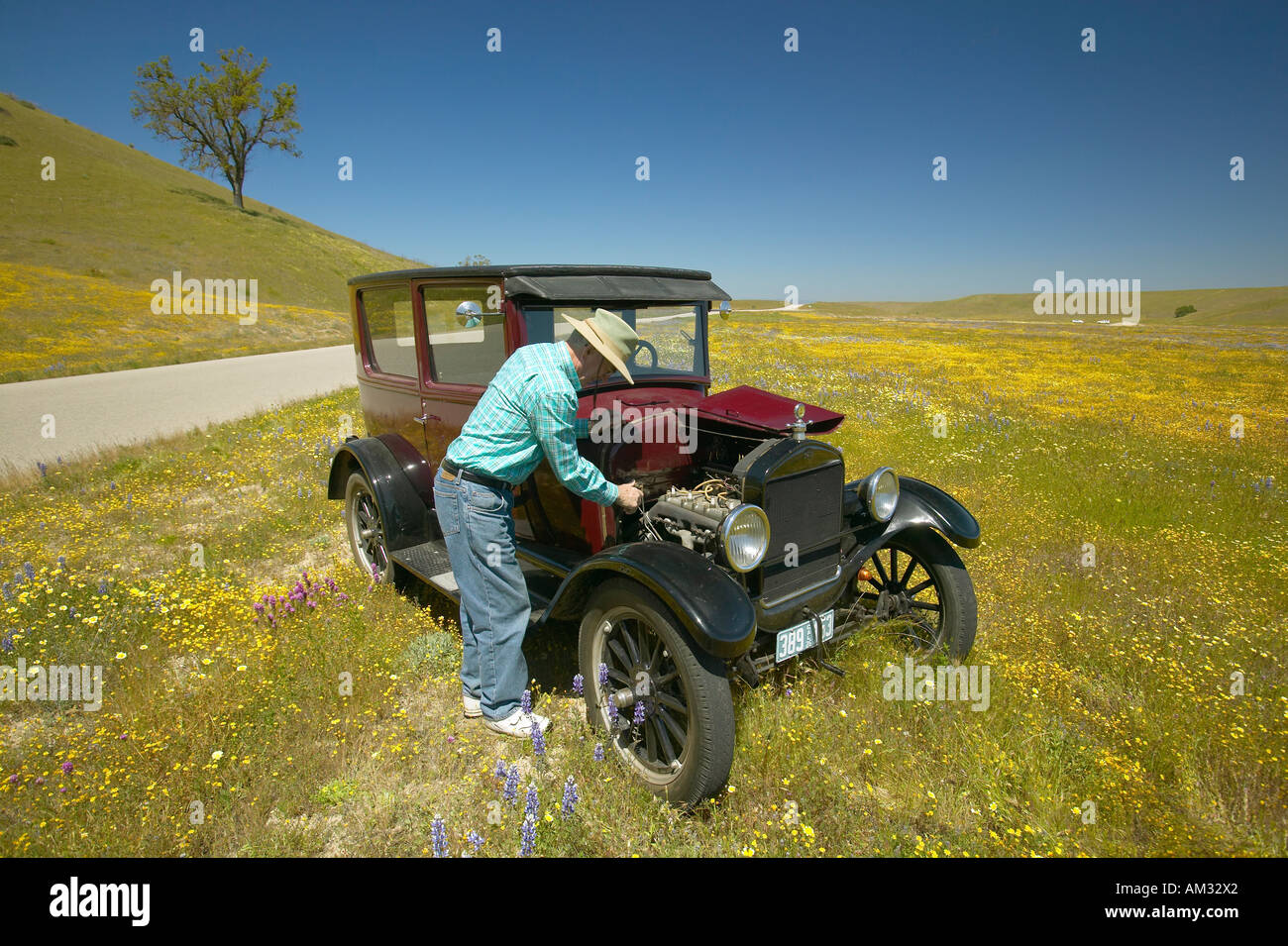 Ein Mann seine kastanienbraun, T-Modell von Frühlingsblumen aus der Route 58 Shell Straße CA umgeben, zu reparieren Stockfoto