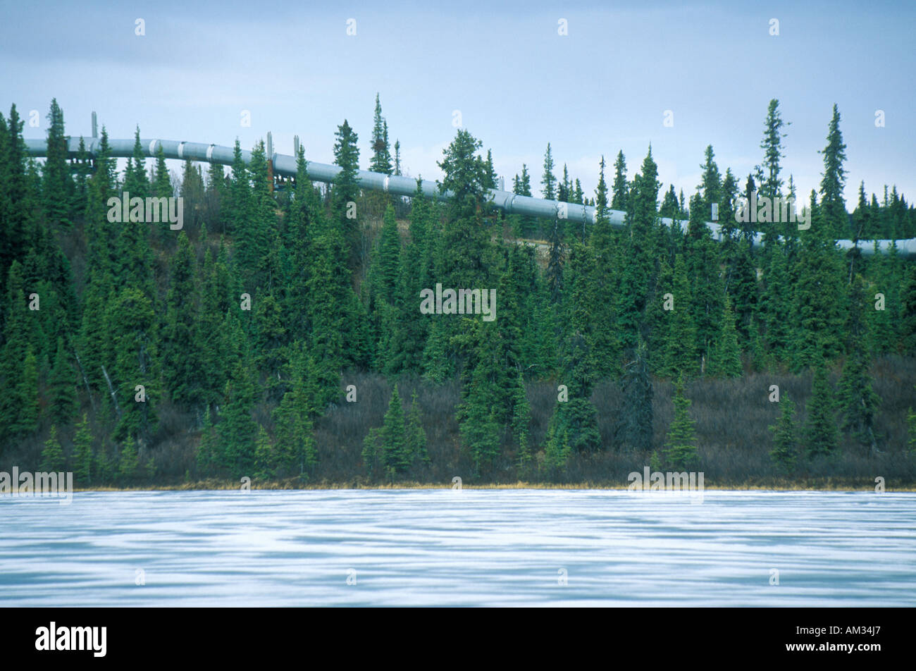 Trans-Alaska-Pipeline auf Route 4 in der Nähe von Paxson AK Stockfoto