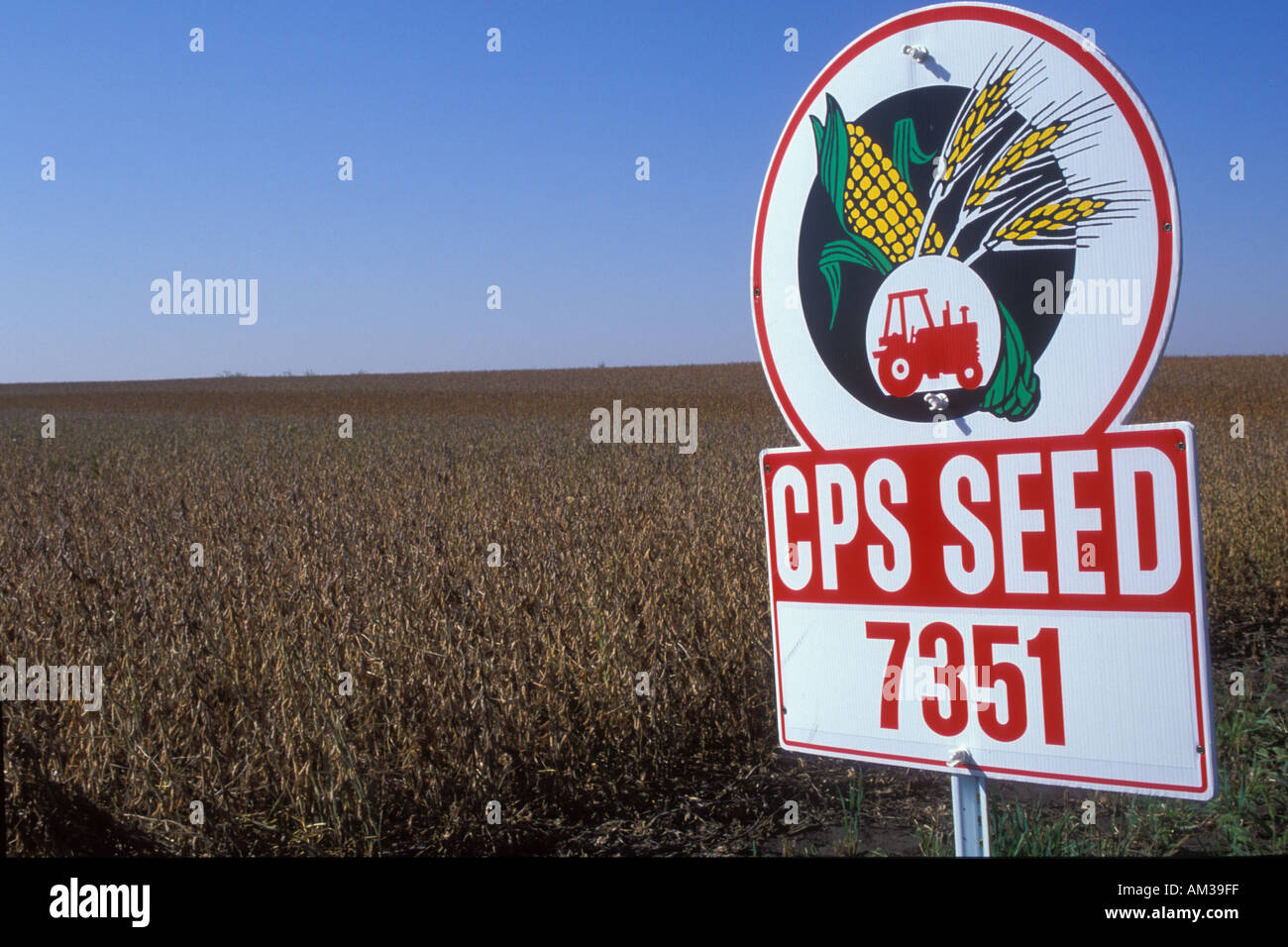 Soja-Saatgut-Werbetafel in einem Feld von Soja Stockfoto