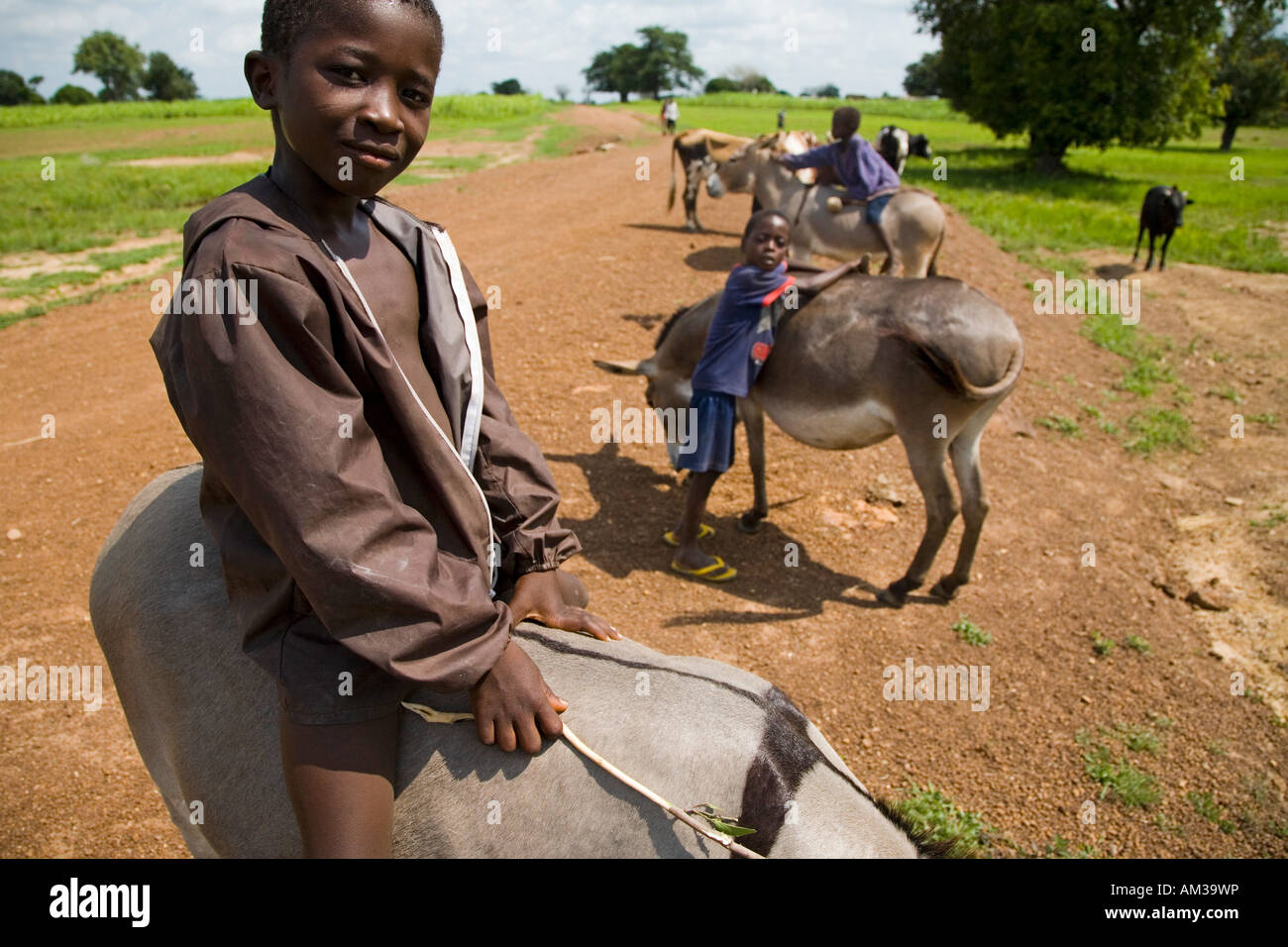 Junge Burschen fahren Esel in Ghana Stockfoto