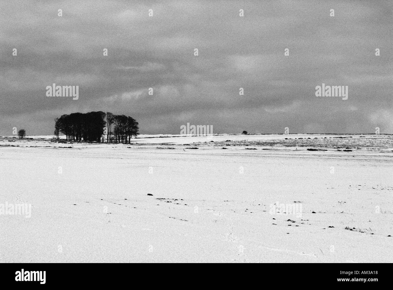 Winter Landschaft Wildnis wild kalten Winter Schnee Frost Einfrieren eingefroren Eis Saison ländlichen Isolierung isoliert abgeschnittenen einsam allein s Stockfoto