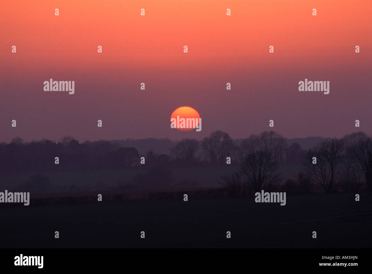 Sonnenuntergang über Felder Stockfoto
