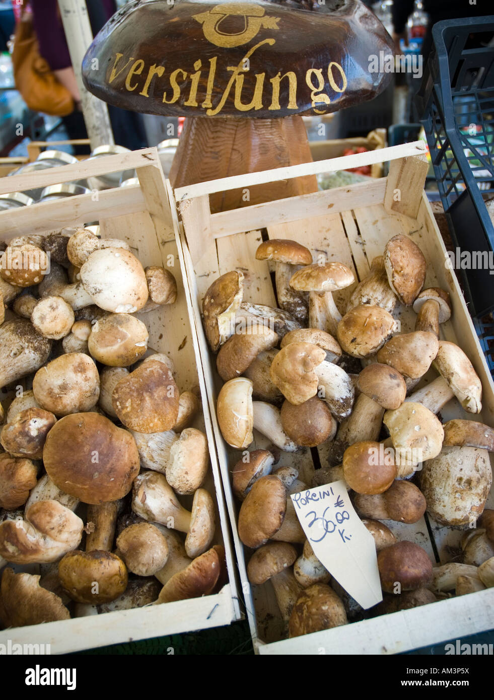 Steinpilze zum Verkauf auf einem Markt in Italien Stockfoto
