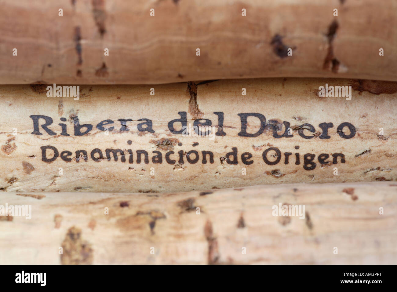 Nahaufnahme von Weinkorken aus Ribera del Duero, Spanien. Stockfoto