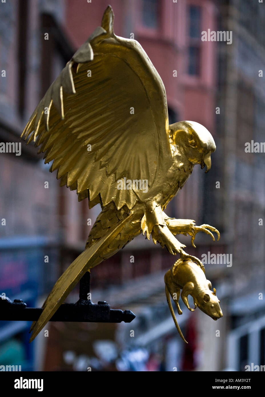 Diese golden Hawk und Ratte Skulptur sitzt oben auf einer Straße Wegweiser in Edinburgh High Street, Royal Mile, Schottland. Stockfoto