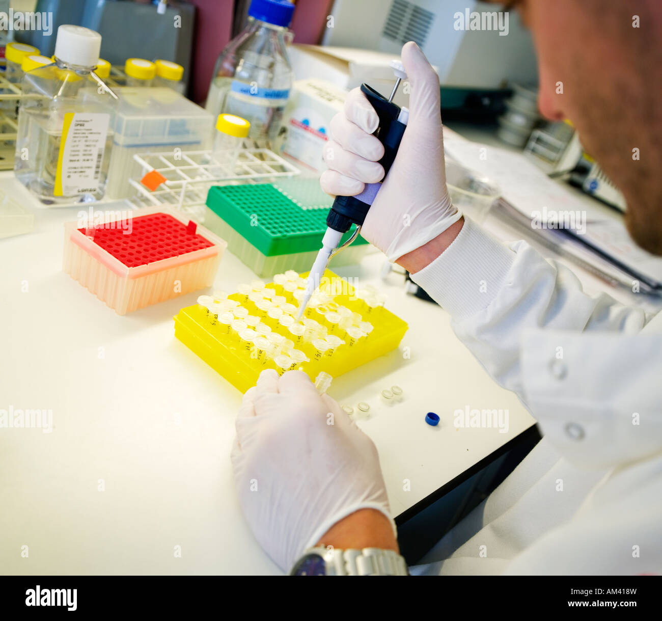 Arbeit klinischen Forschung Laboruntersuchungen. Kein Model-Release erforderlich, da Gesicht so unkenntlich Person in Schuss beschnitten Stockfoto