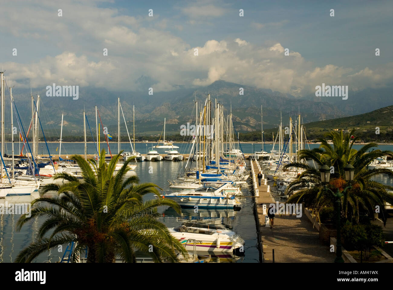 Europa, Frankreich, Korsika, Calvi.  Hafen gefüllt mit Sportbooten, beliebtes Urlaubsziel Stockfoto