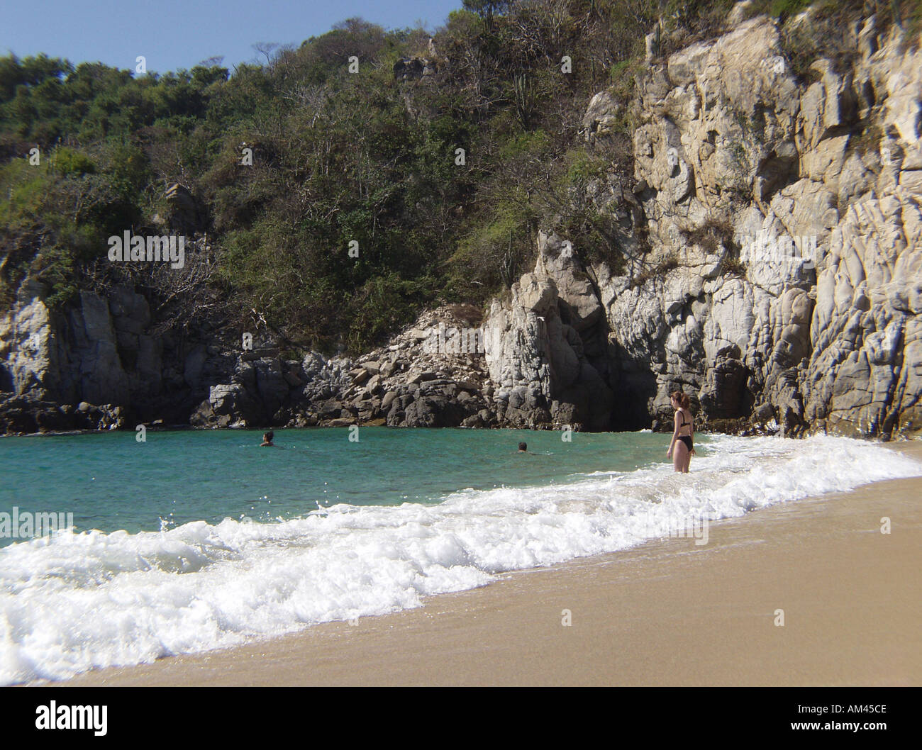 Oaxaca Huatulco Maguey Strand Mexiko Stockfoto