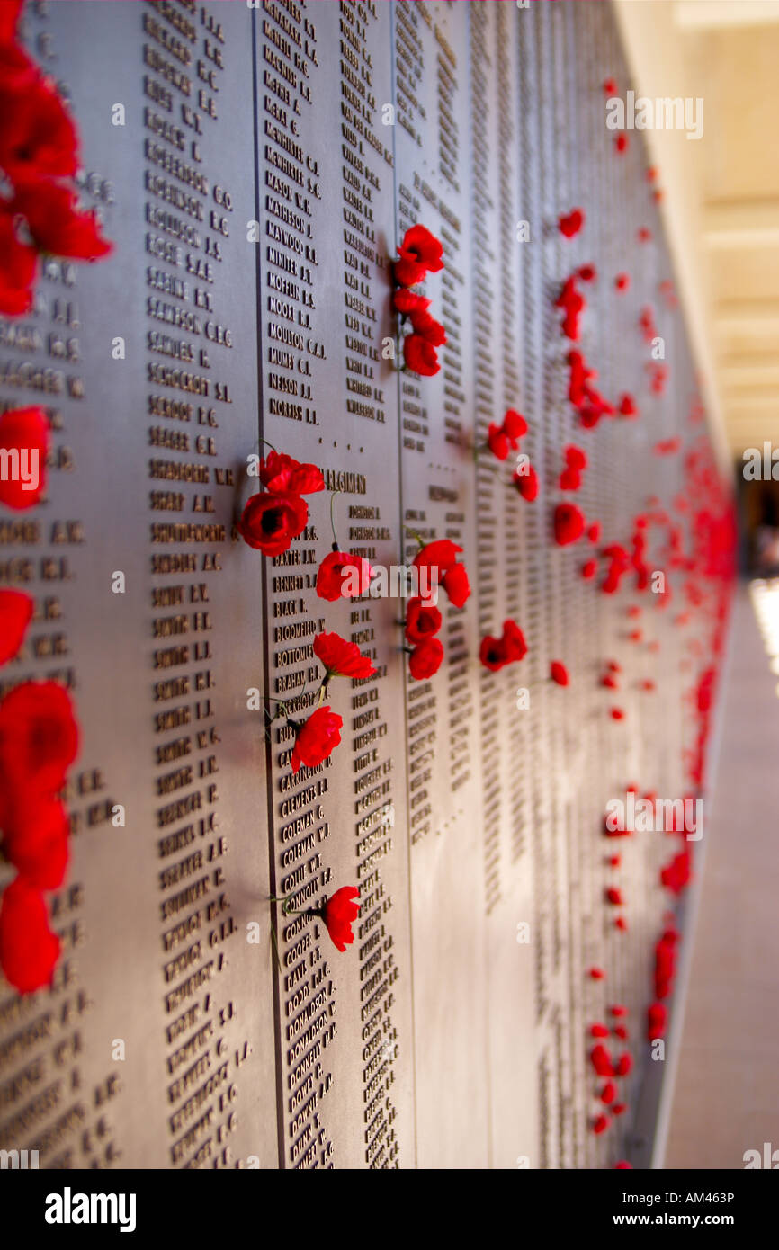 Mohn an das Australian War Memorial. Stockfoto