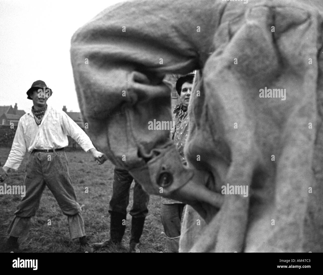 Dwile Flonking Stockfotos Und bilder Kaufen Alamy dwile-flonking-stockfotos-und-bilder-kaufen-alamy
