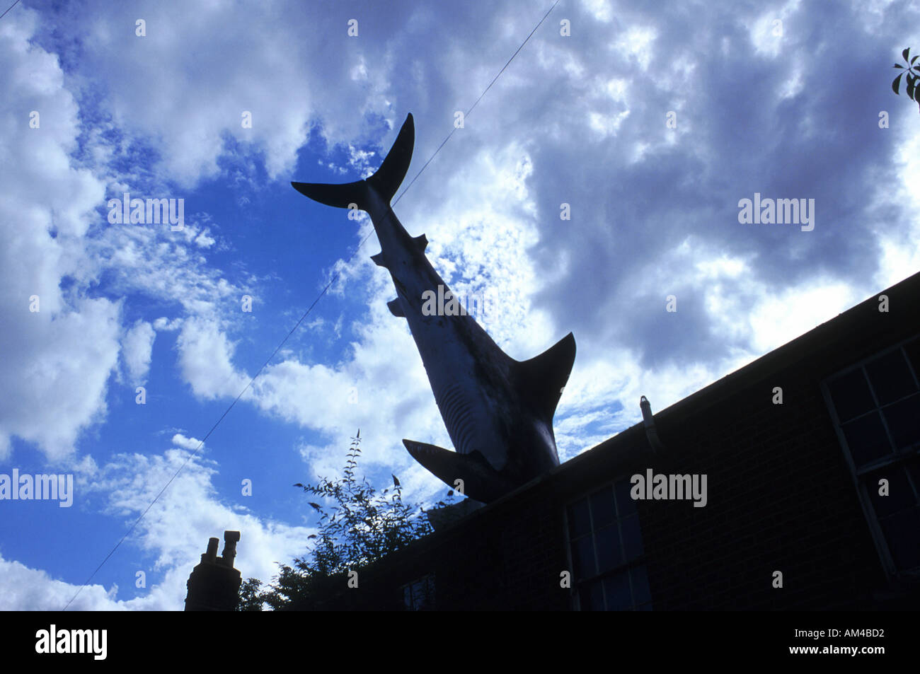 Der Hai im Dach in Headington Oxford exzentrischen britischen Skulptur Pic Rob Judges Stockfoto