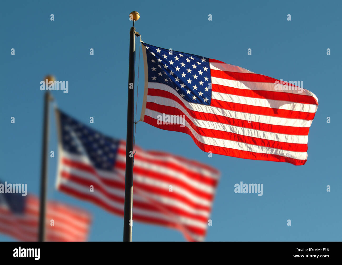 Mehrere amerikanische Flaggen Stockfoto