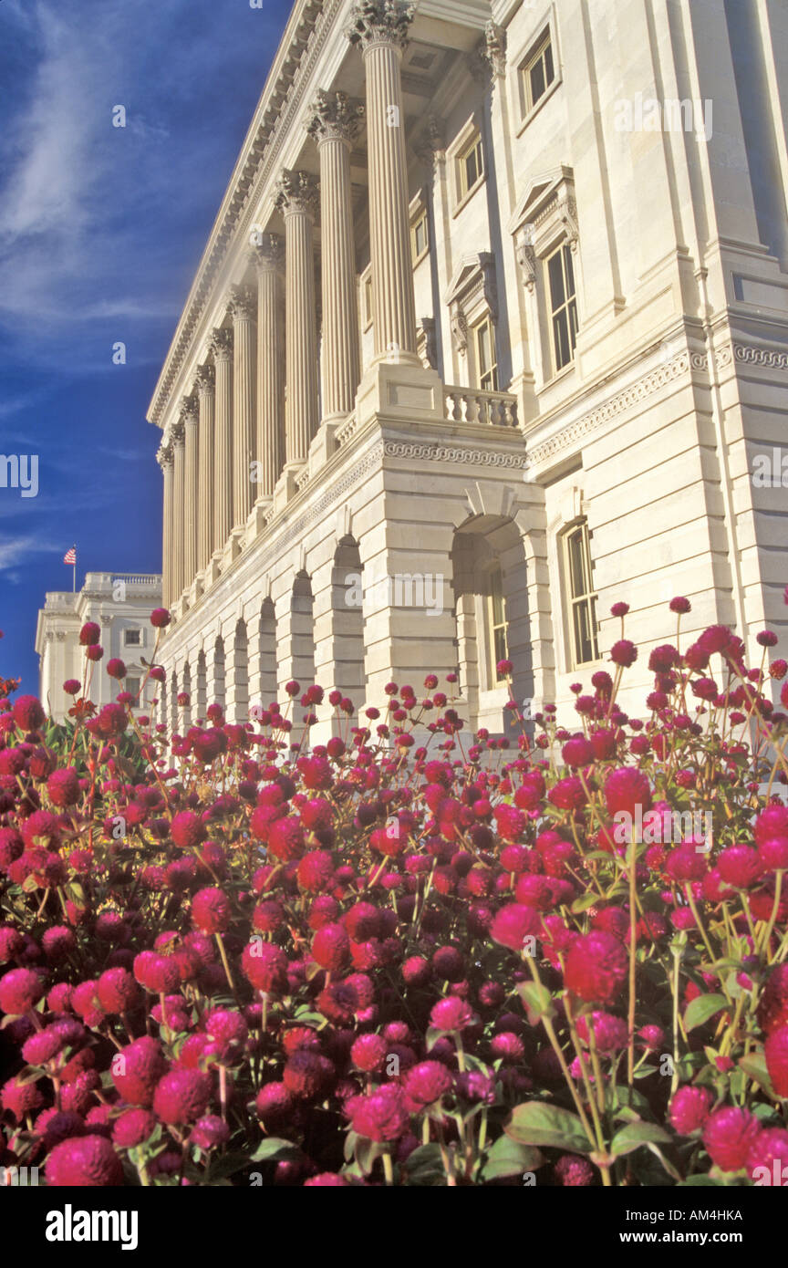 Library of Congress Washington DC Stockfoto