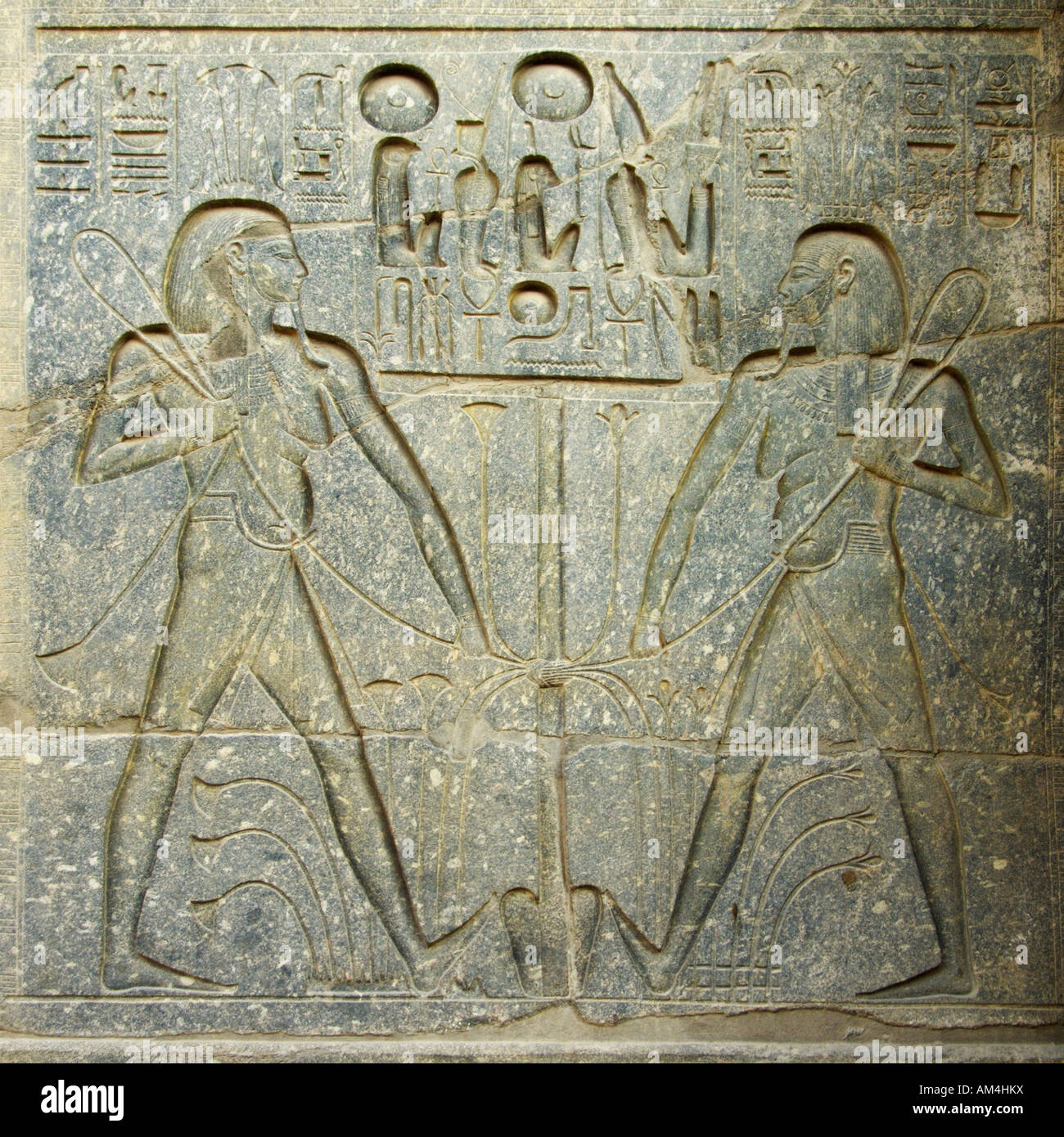 Hieroglyphen im Luxor-Tempel-Ägypten-Nordafrika Stockfoto