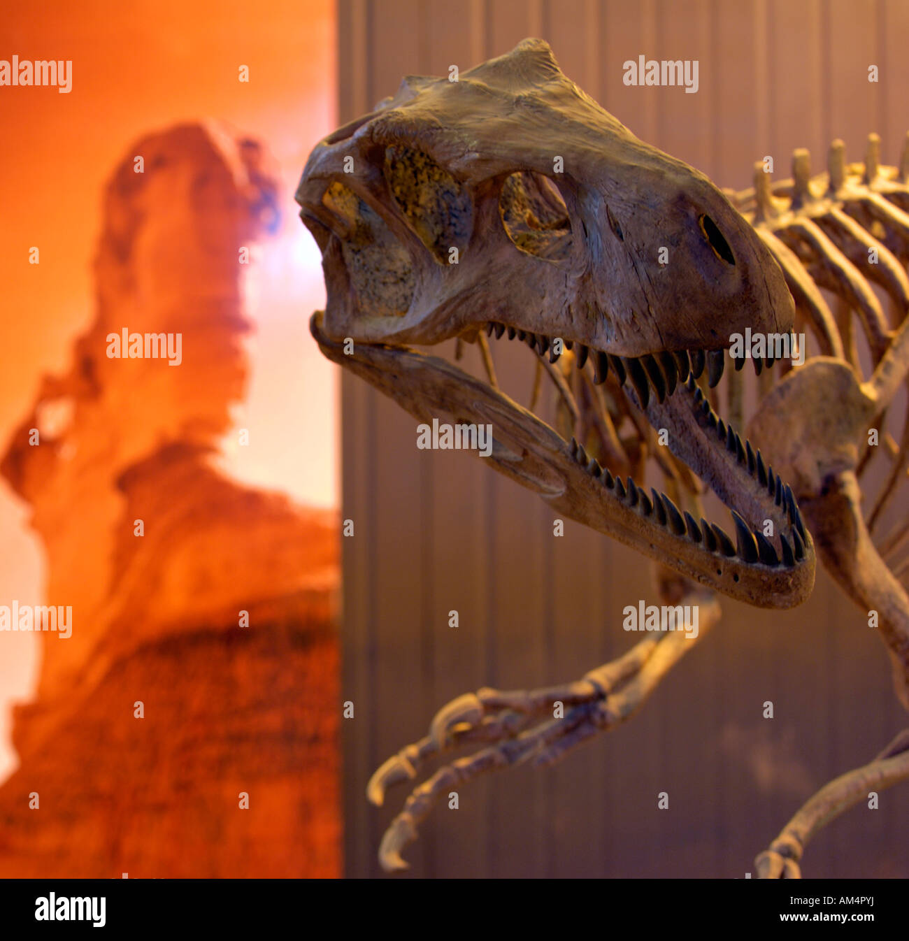 Dinosaurier-Anzeige im Parkmuseum Ischigualasto, Argentinien Stockfoto