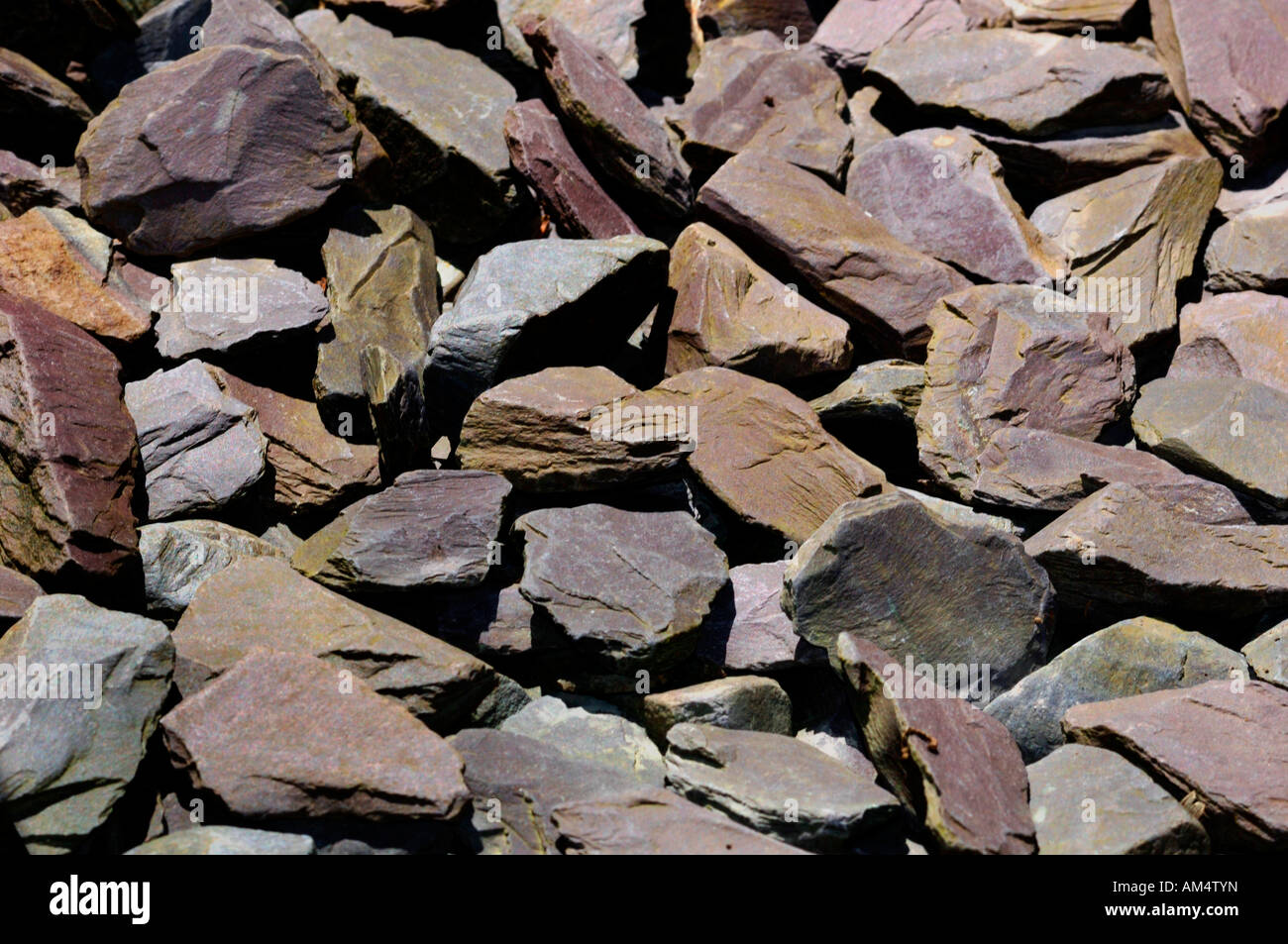 Stücke aus Schiefer verwendet, um einen Gartenweg zu machen. Stockfoto