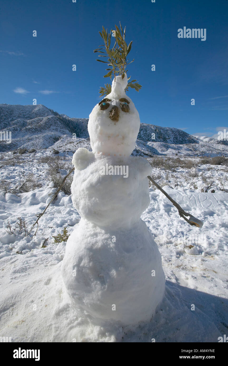 Schneemann im Neuschnee entlang Highway 33 nördlich von Ojai Kalifornien Stockfoto