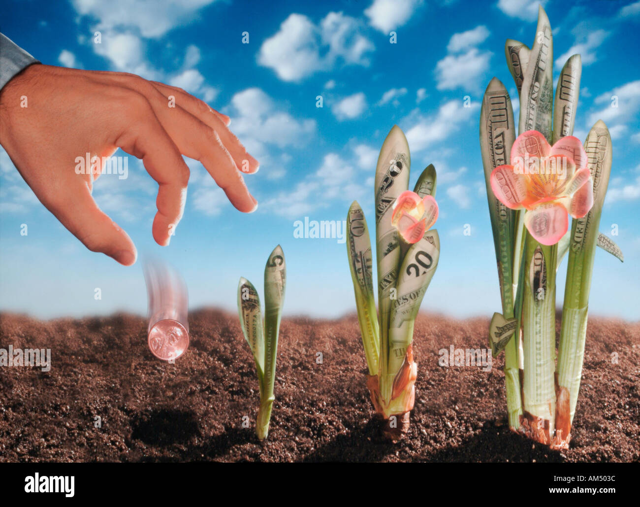 Geldverdienen wachsen. Aus ihnen wachsen Pflanzen Pfennige und Dollar. Stockfoto
