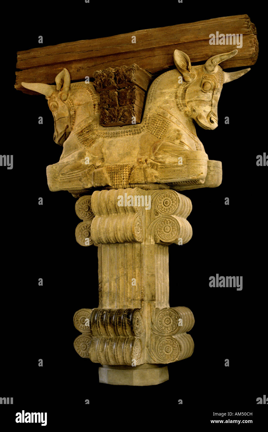 Apadana Mesopotamien Darius dem großen persischen Kaiser von 521 B Iran Irak Stockfoto