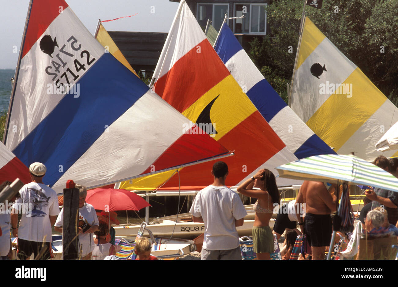 SunFish Rennen Stockfoto