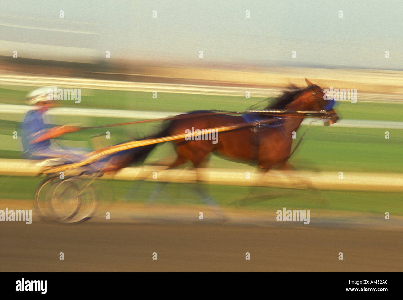 Trabrennen Pferd und Jockey Rennen rund um die Strecke während des Rennens mit Bewegung verwischt Stockfoto