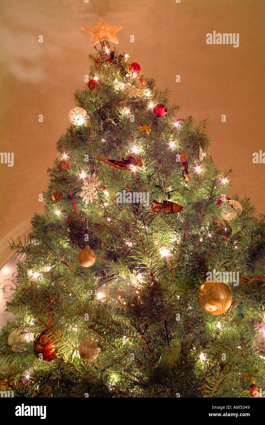 Nach oben auf ein großes dekoriert und beleuchtet Weihnachtsbaum in eine heimische Wohnzimmer. Stockfoto