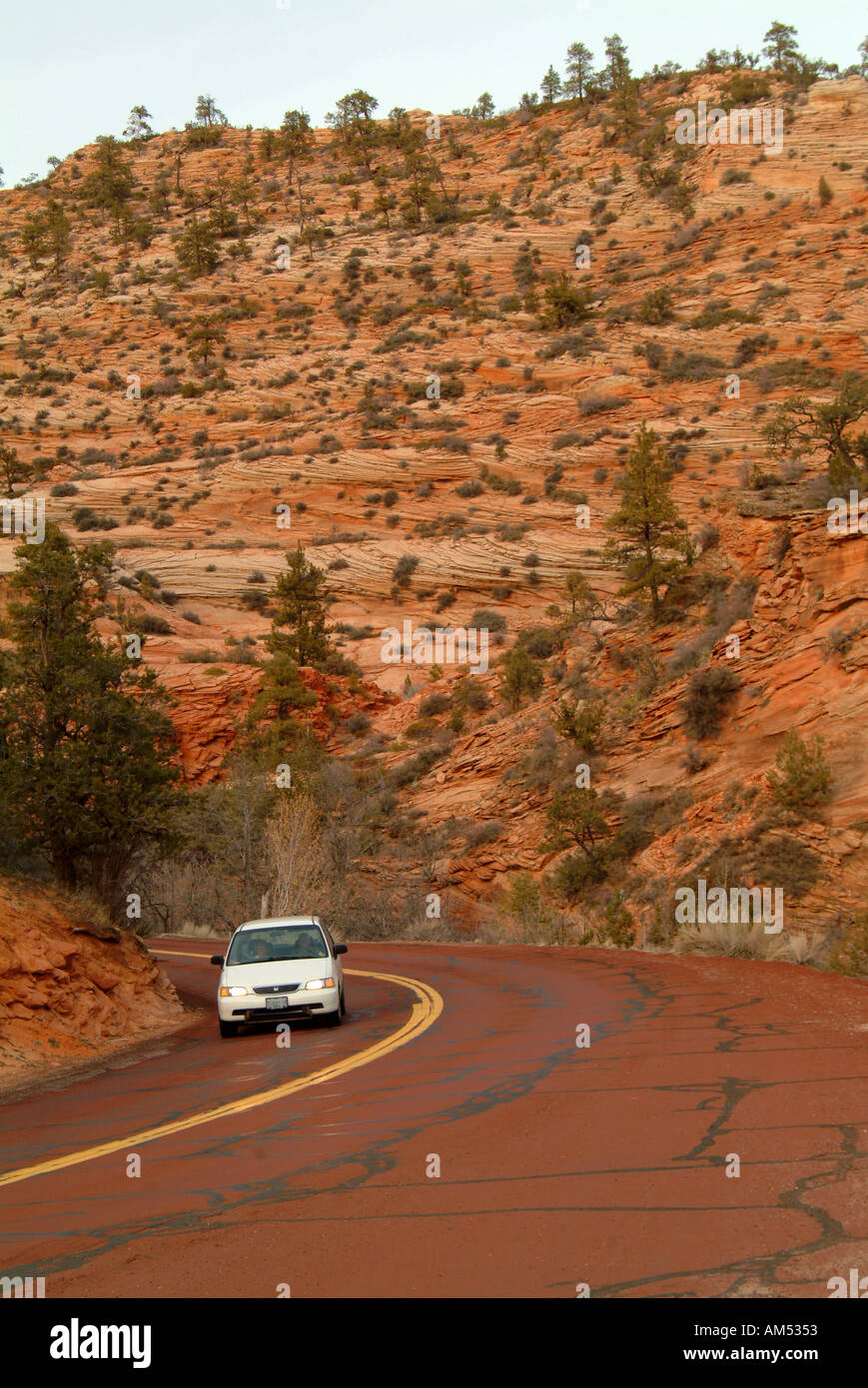 Ein Auto voller Touristen fährt nach unten eine kurvenreiche Panoramastraße durch den Zion National Park. Stockfoto