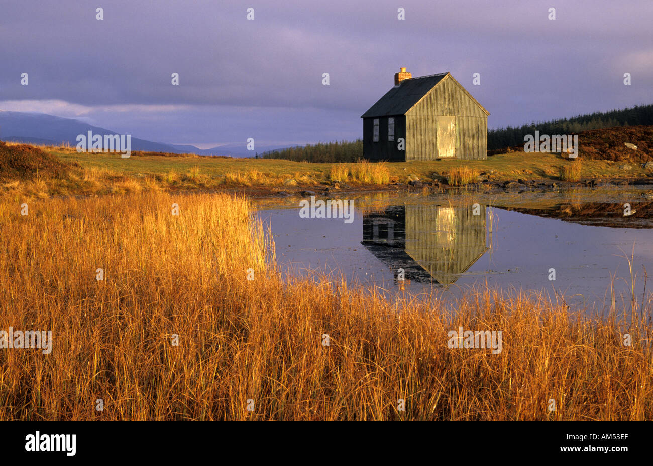 Tayside Scheune und Reflexion im frühen Mornign Licht Stockfoto