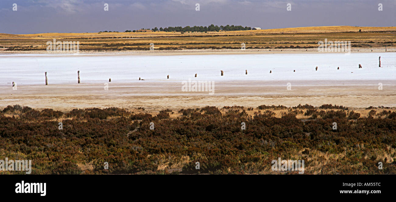 Steigenden Salzgehalt, Ackerland, Western Australia Stockfoto