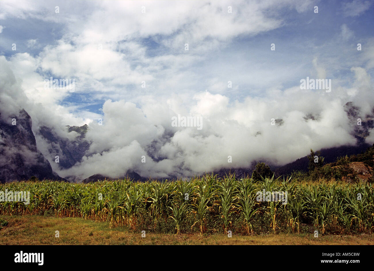 Wolken in den südlichen Ausläufern der Brenta-Gruppe Bergkette, Dolomiten, Italien Stockfoto