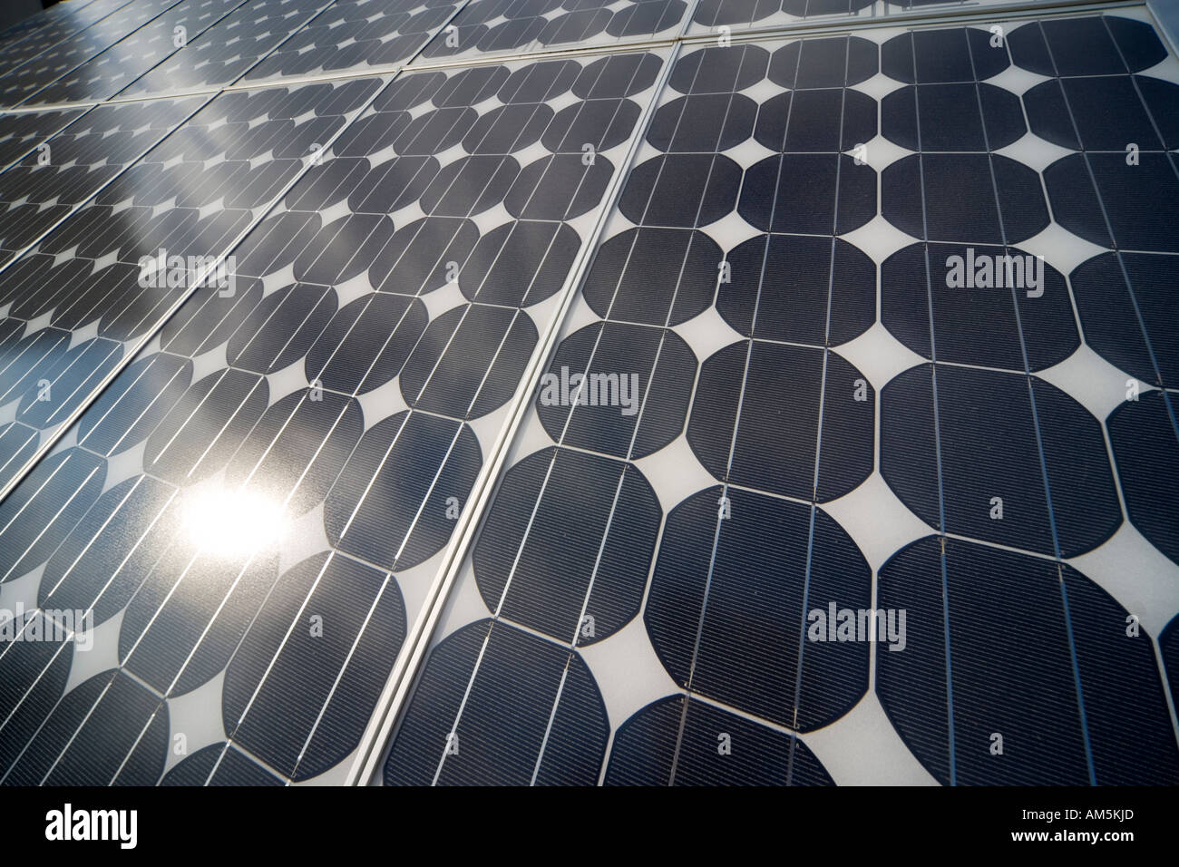 Solarmodule erzeugen Strom. Reihen von monokristallinen Solarzellen. Stockfoto