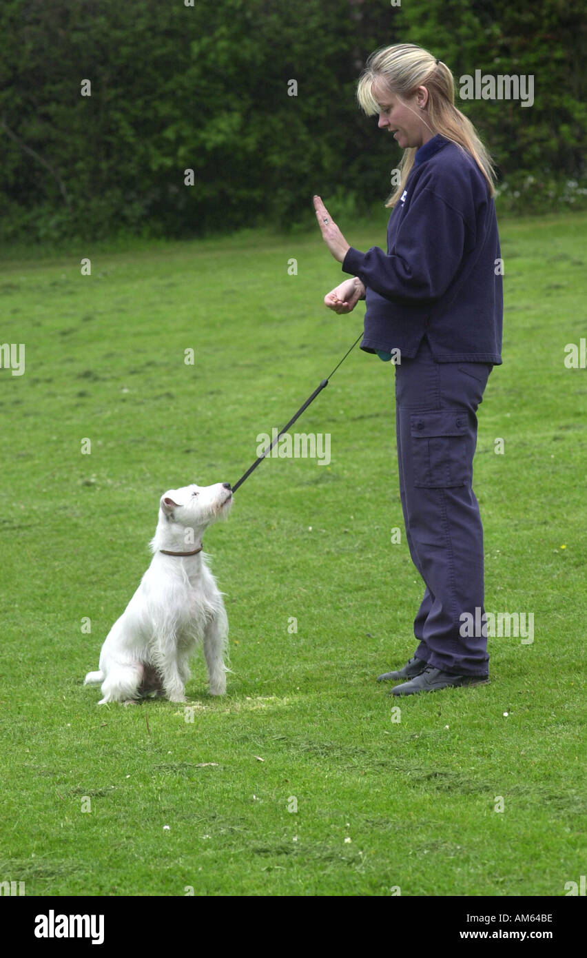 Frau Züge Hund UK Stockfoto