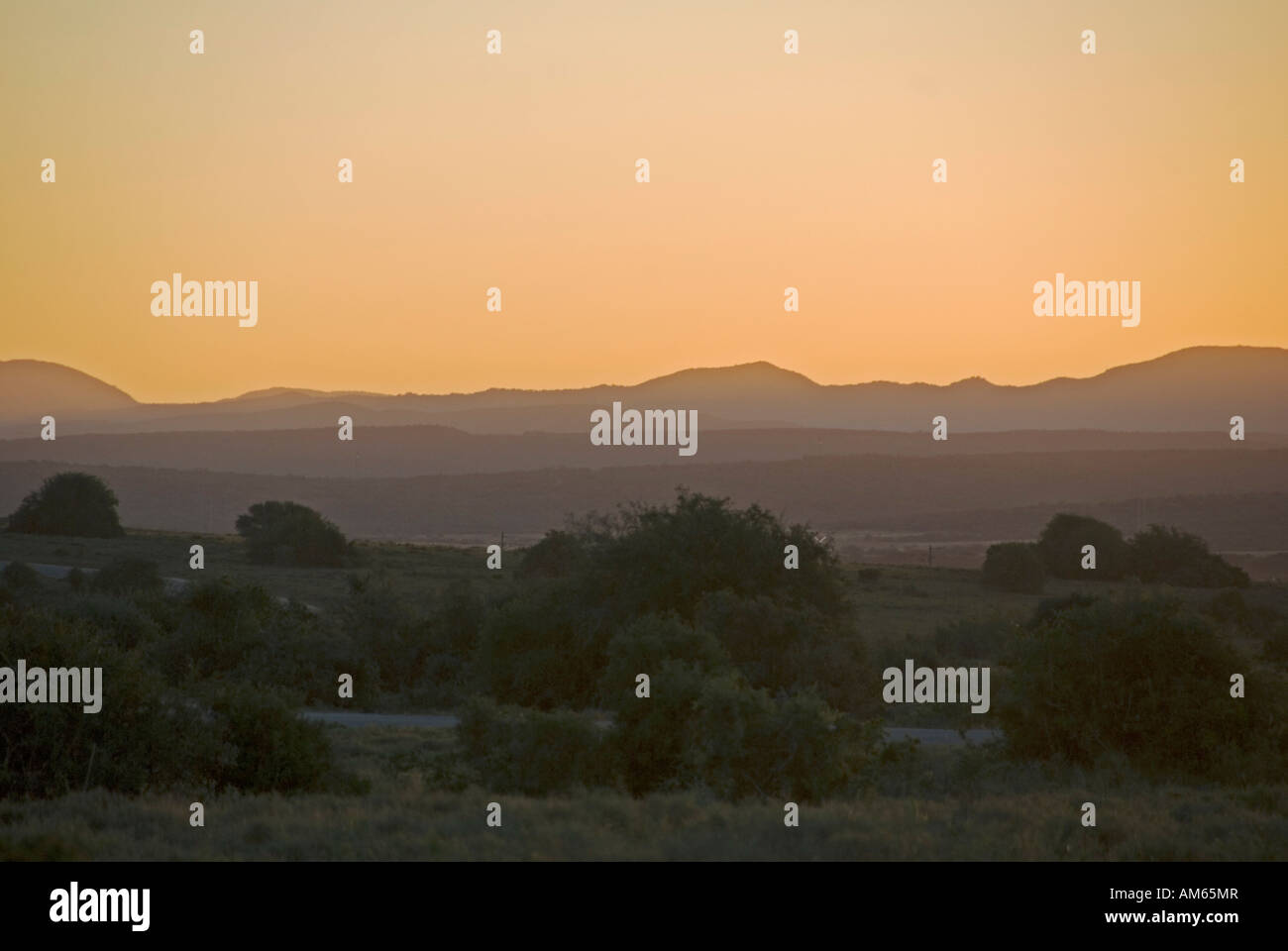 Abendstimmung im Addo Nationalpark Stockfoto