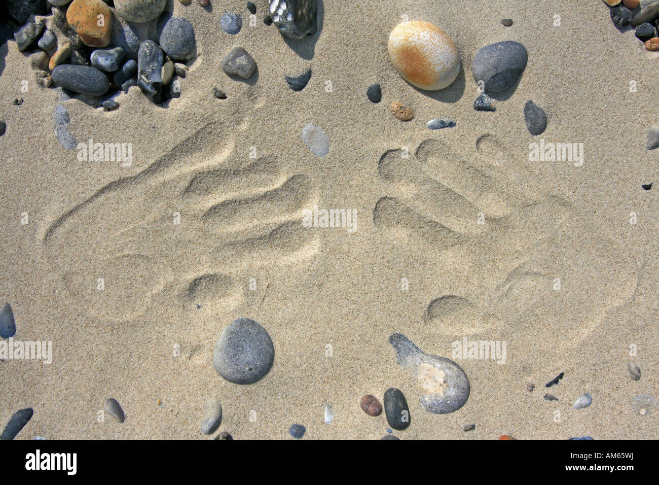 Drucken von zwei Händen im sand Stockfoto