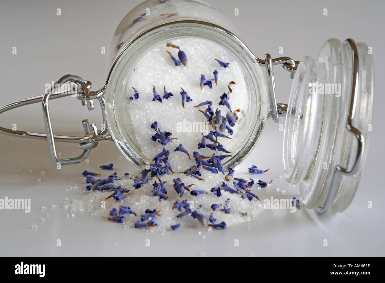 Fein gemasertem Zucker mit getrockneten Lavendelblüten in einem konservierenden Glas Stockfoto