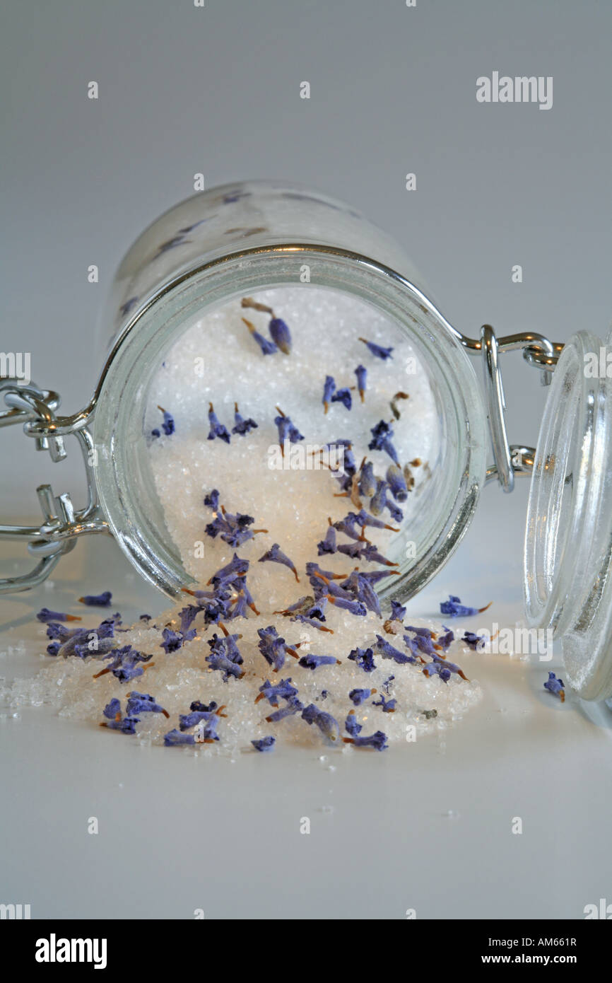 Fein gemasertem Zucker mit getrockneten Lavendelblüten in einem konservierenden Glas Stockfoto