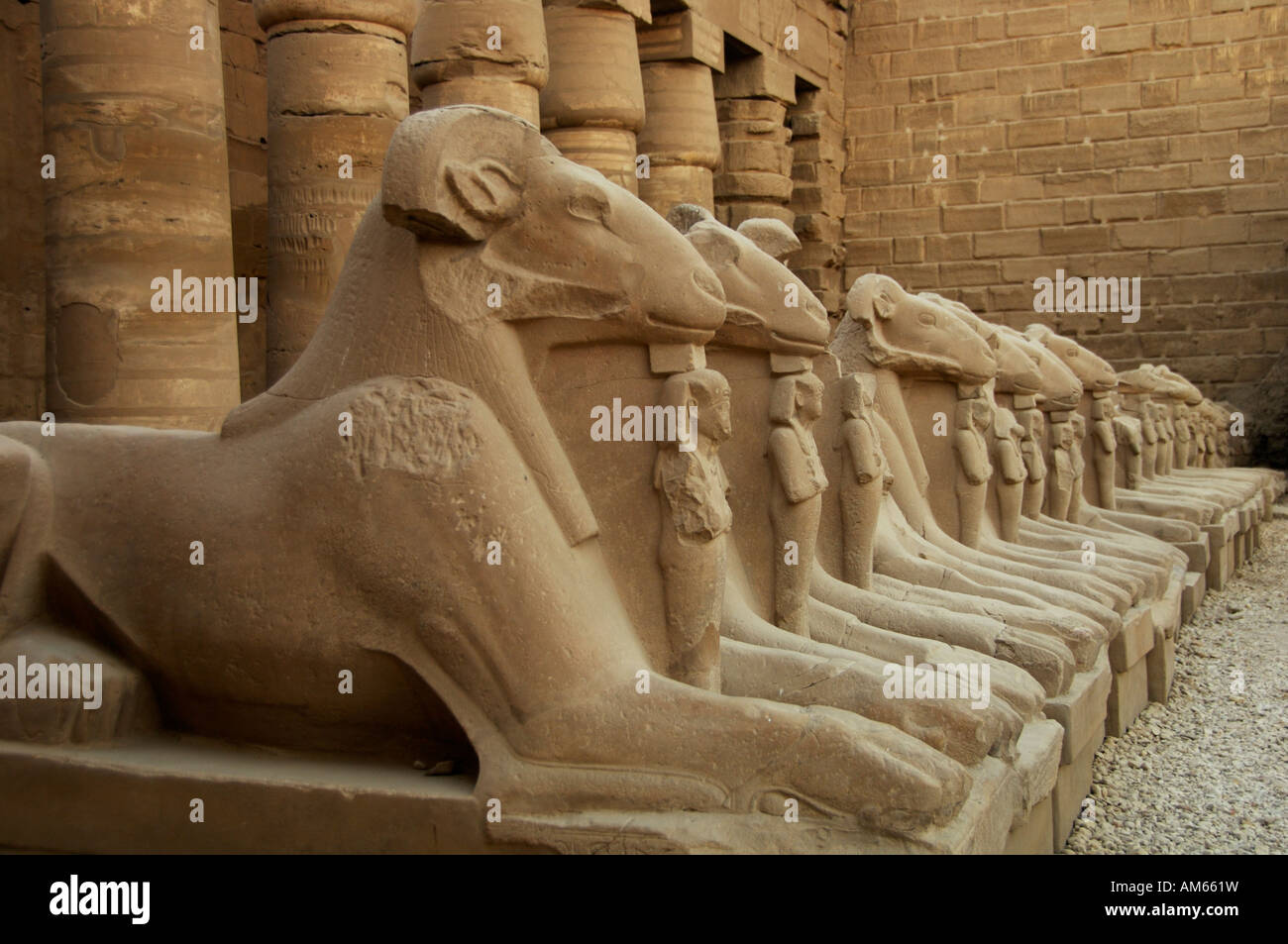 Sphinxen Karnak-Tempel-Ägypten-Nordafrika Stockfoto
