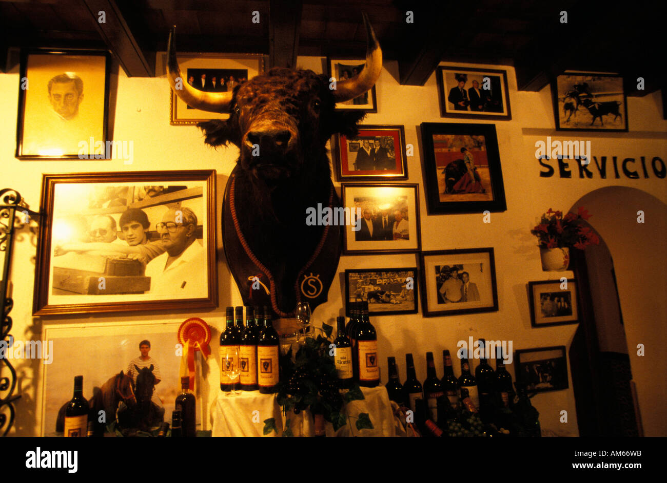 Jerez De La Frontera eine Bar mit einer vorbereiteten Stierkopf gegenüber der arena Stockfoto