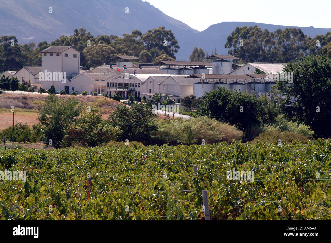 Tulbagh Altstadt mit Nationaldenkmäler Western Cape Südafrika RSA Tulbach Weinkeller Reben Stockfoto