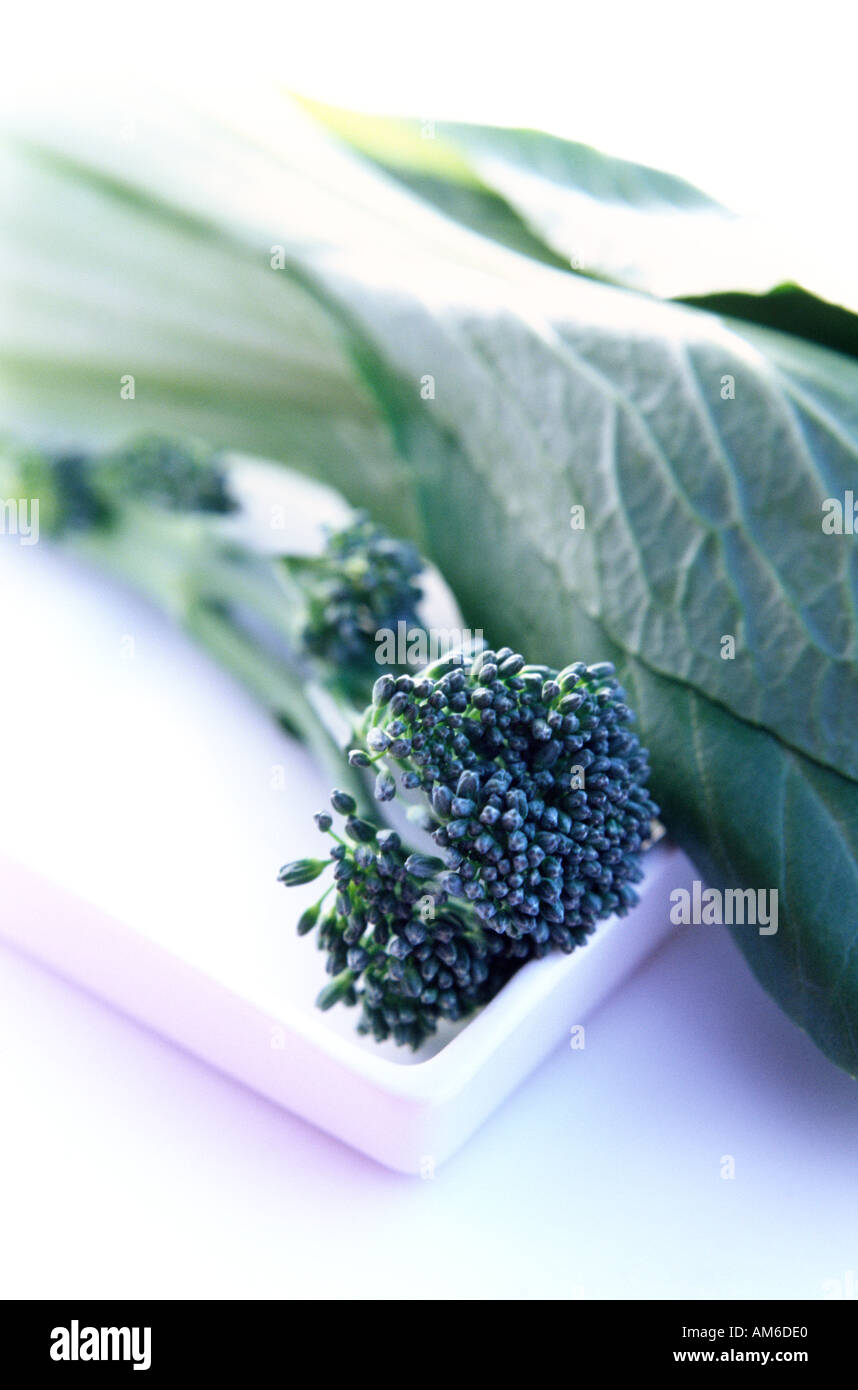 Jede Menge Grün und frisch Broccoli und Bok Choy auf weißen Teller und sauberen hellen Hintergrund Stockfoto