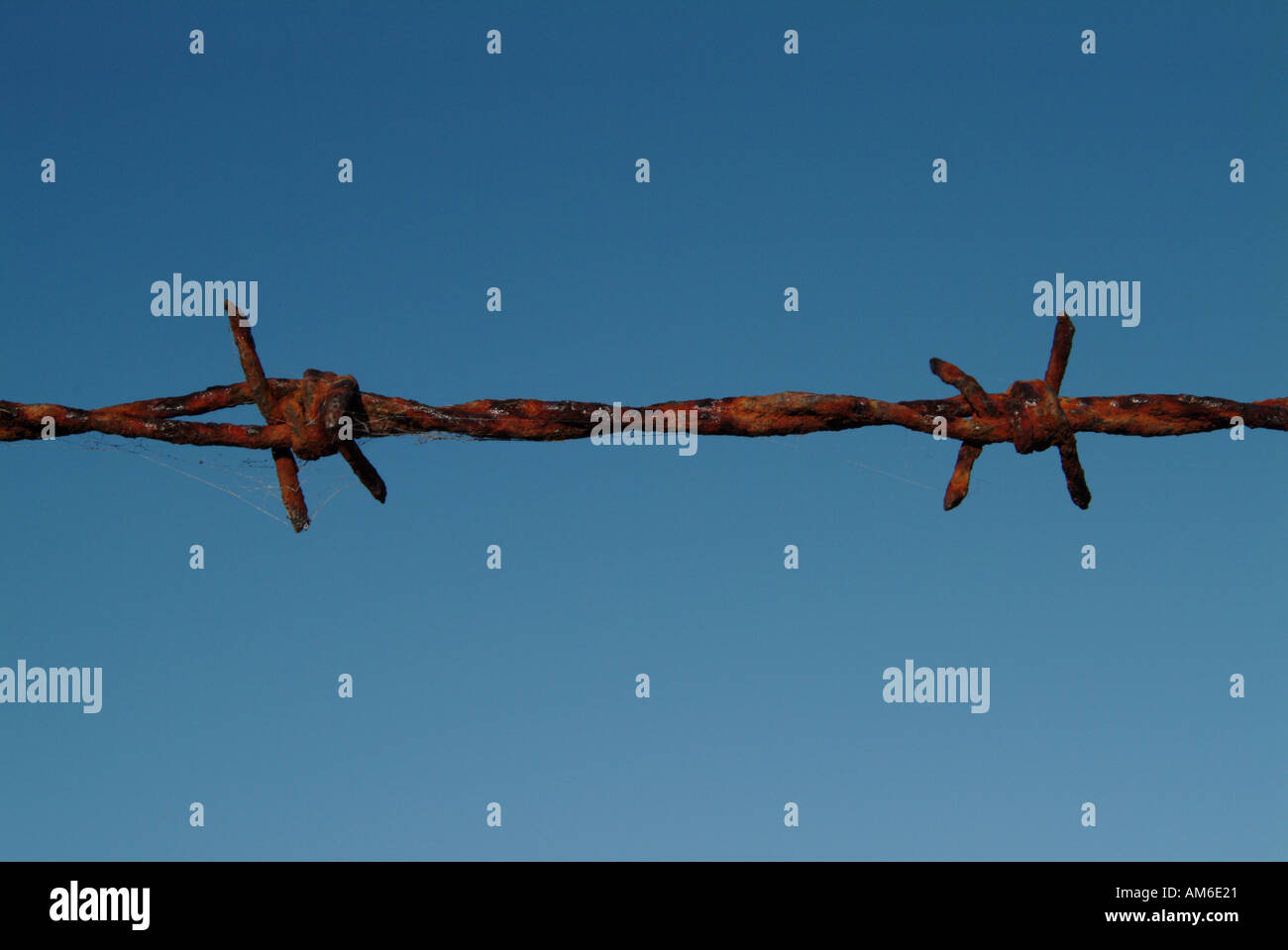 Barbedwire Himmel Margaret River Western Australia Stockfoto