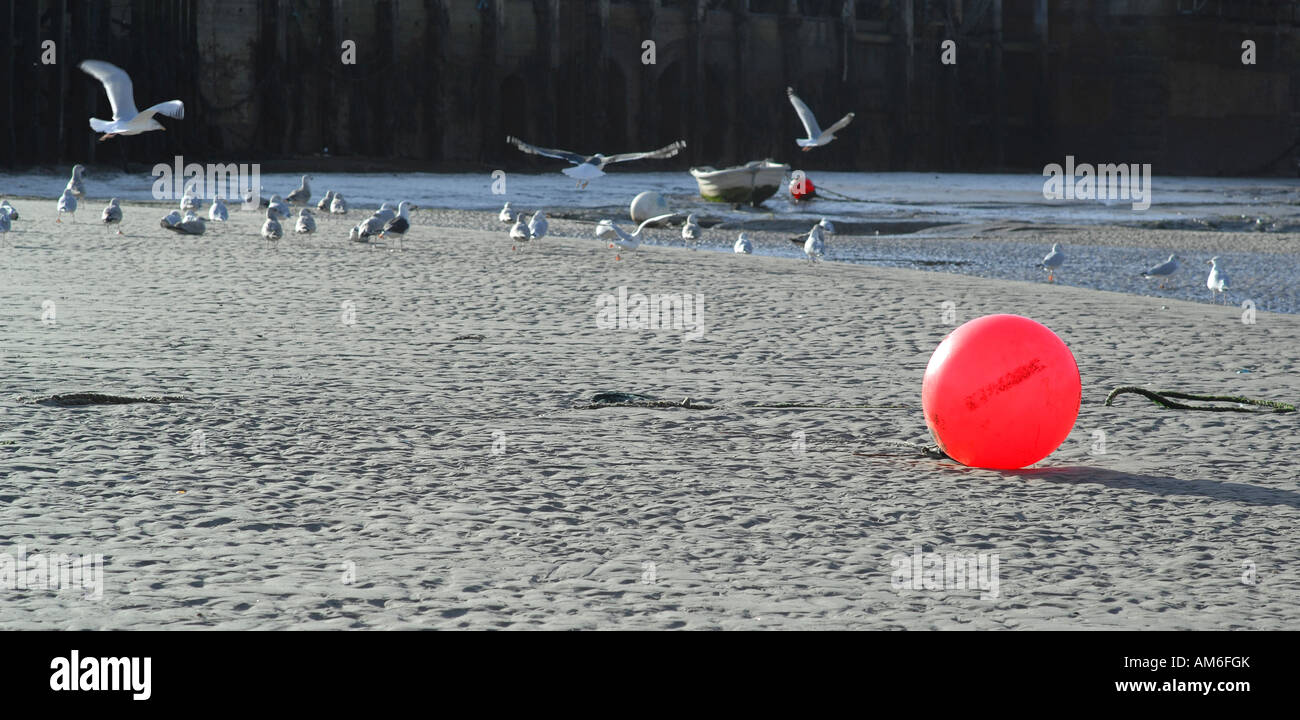 Folkestone Hafen im Winter bei Ebbe Stockfoto