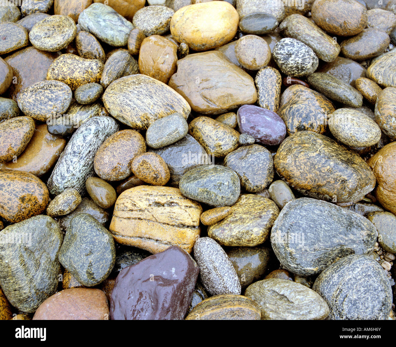 Bunte Kieselsteine im oberen Tiroler Ache, Chiemgau, Bayern