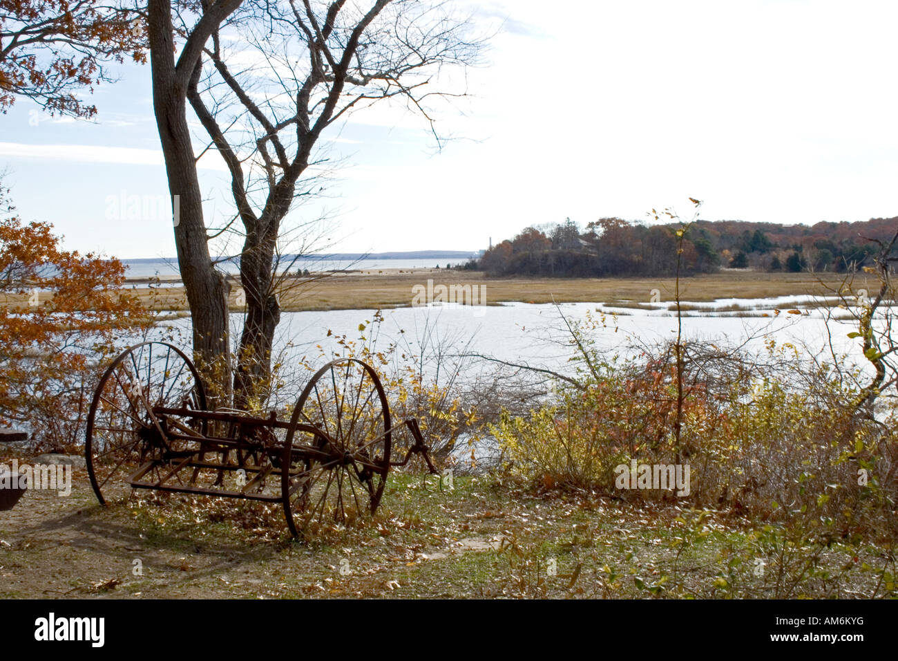 Räder an einem See im Spätherbst in Massachusetts Stockfoto