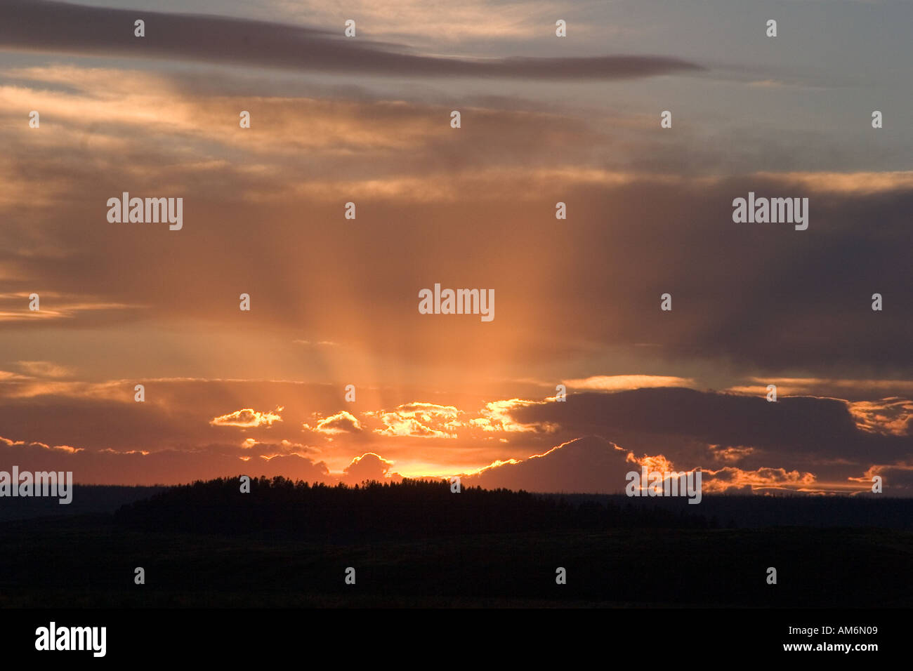 Strahlen aus goldenem Licht schaffen eine Auferstehung Sonnenuntergang im Yellowstone National Park. Stockfoto