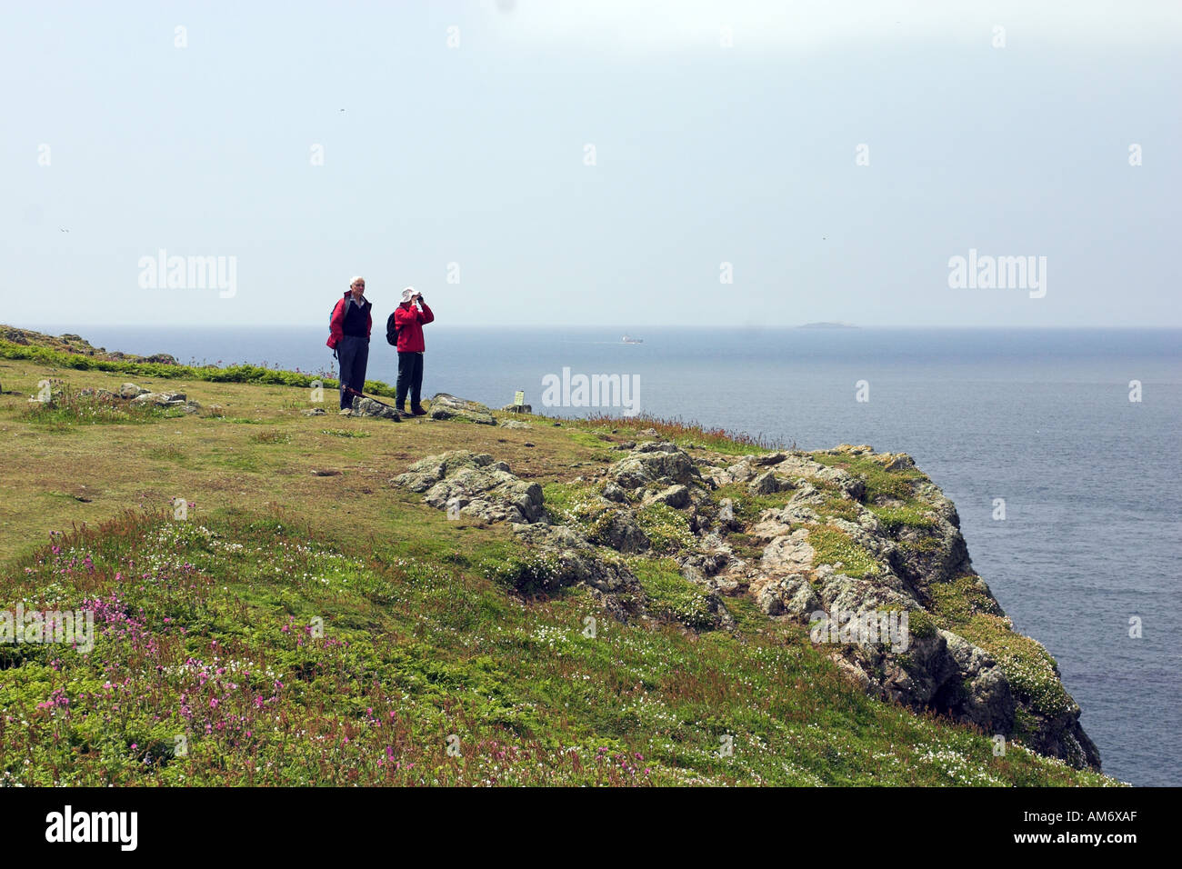 Bird Watchers Skomer Island von Pembrokeshire Wales Stockfoto