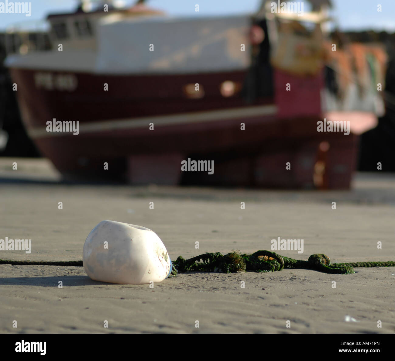 Folkestone Hafen im Winter bei Ebbe Stockfoto