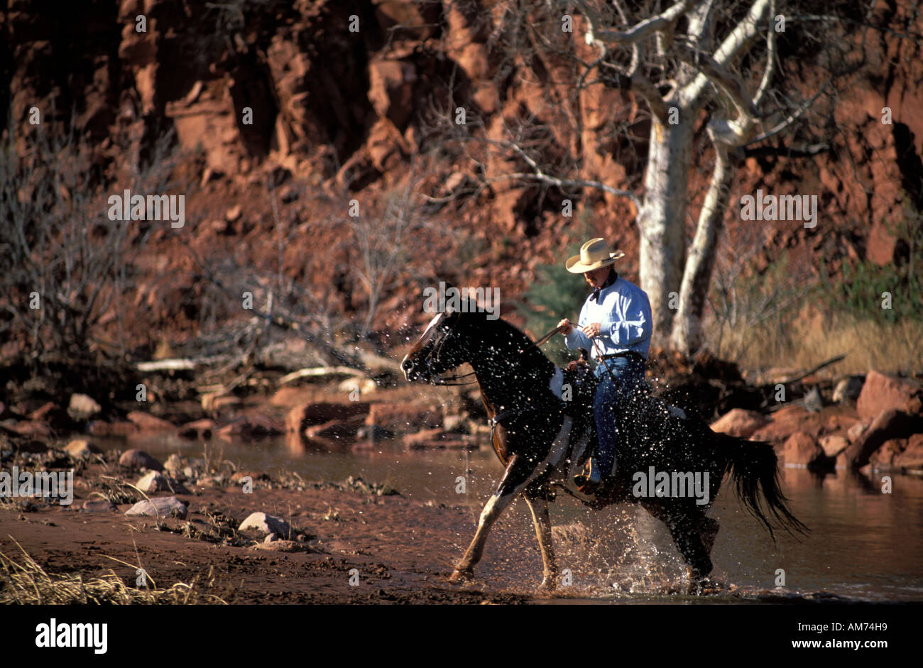 Arizona Cowboy auf dem Rücken der Pferde ist einen Strom im Land der roten Felsen Sedona überqueren. Stockfoto